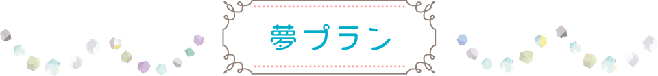 夢プラン