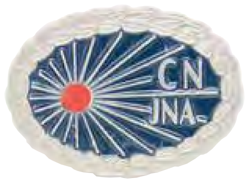 看護協会の認定看護師バッジ